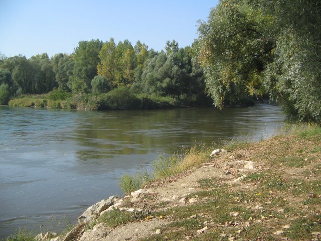 finnek 2011 002